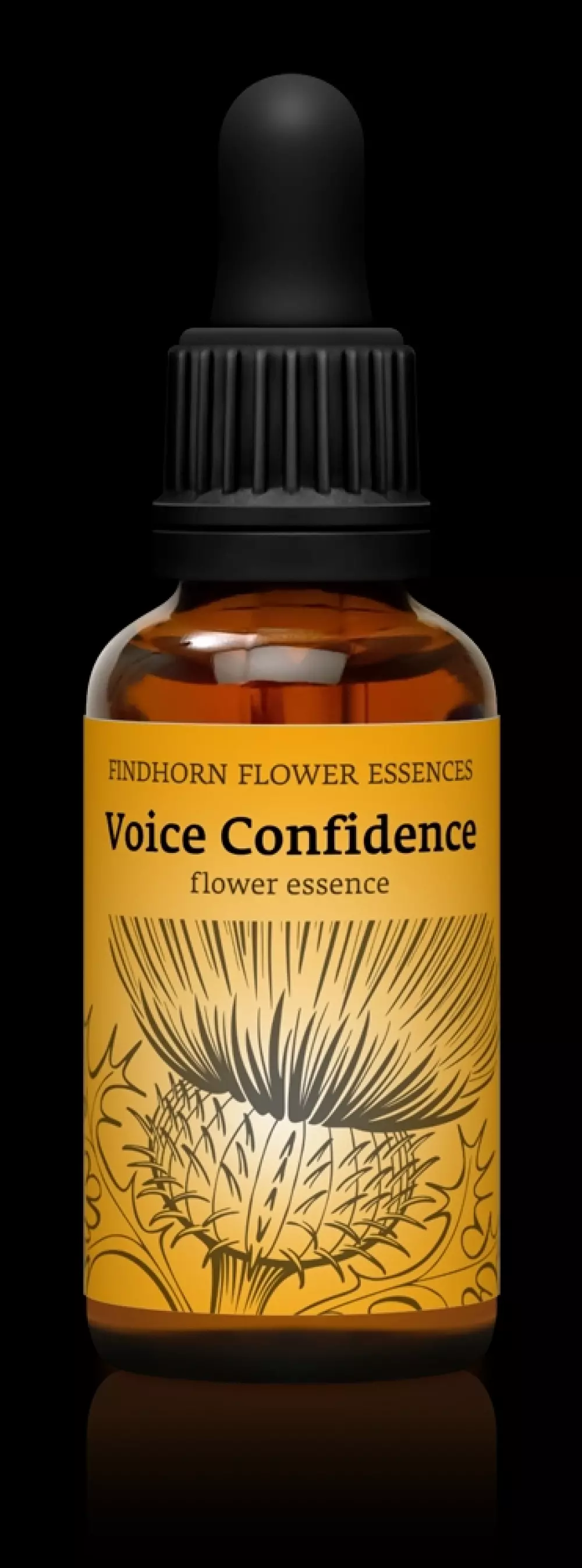 Findhorn - Voice Confidence 30 ml, Velvære & røkelse, Essenser (Vibrasjonell medisin), Encourage