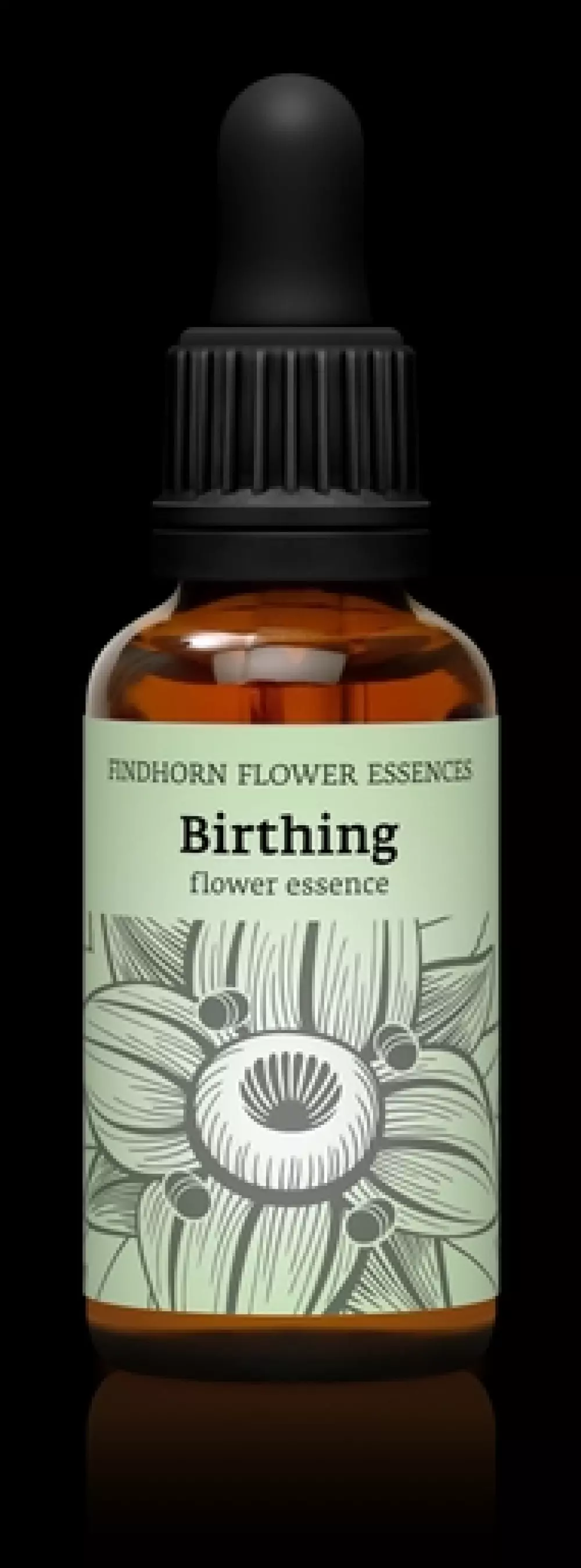 Findhorn - Birthing 30 ml, Velvære & røkelse, Essenser (Vibrasjonell medisin)