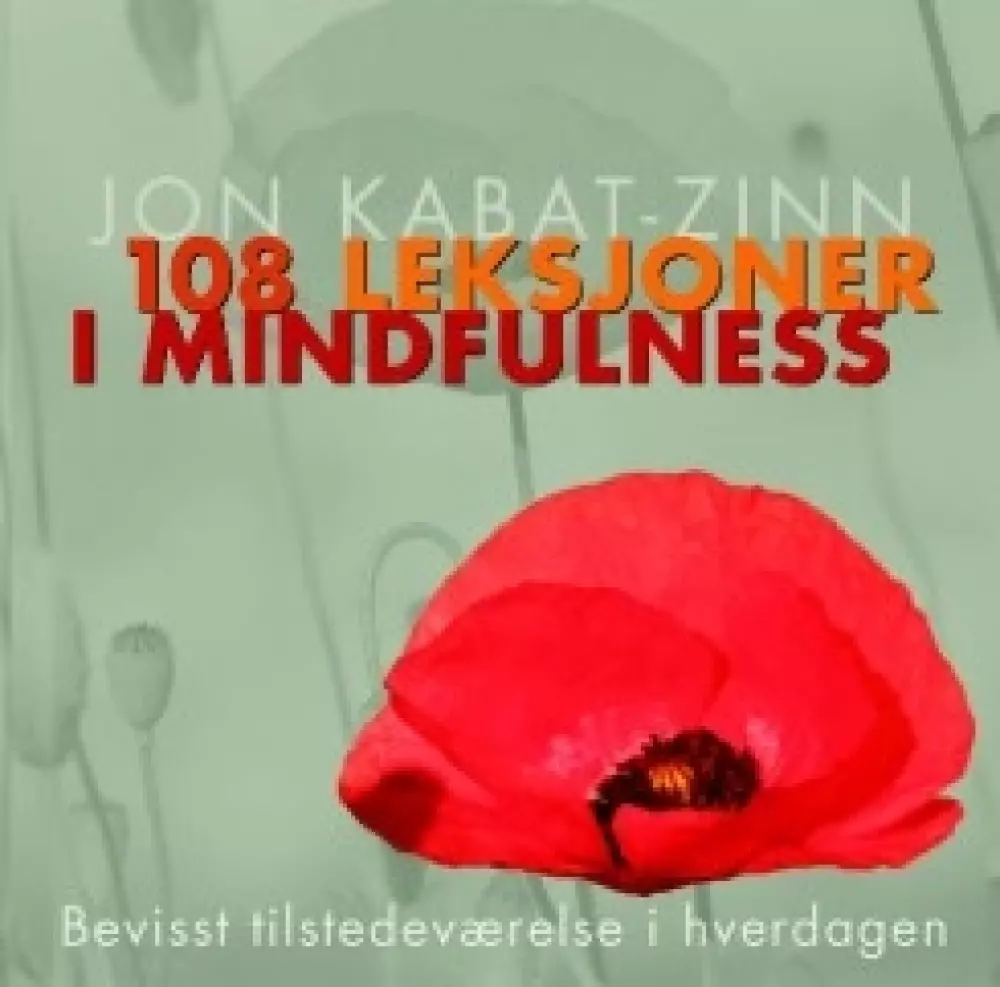 108 leksjoner i mindfulness 108 leksjoner i mindfulness 9788282200073 Bøker Healing, meditasjon & helse