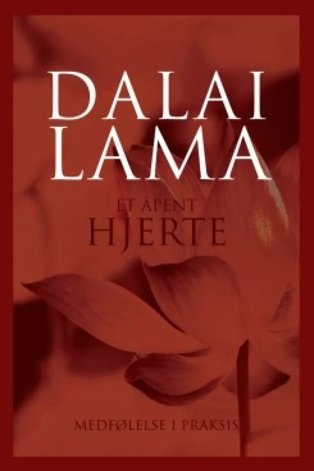 Et åpent hjerte - Dalai Lama 978829161462500000201 Bøker Filosofi & religion
