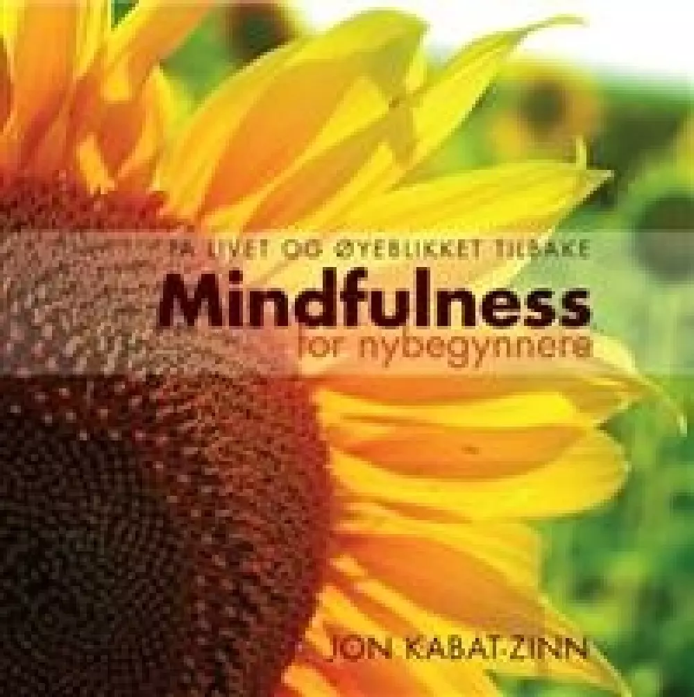 Mindfulness for nybegynnere, Bøker, Healing, meditasjon & helse