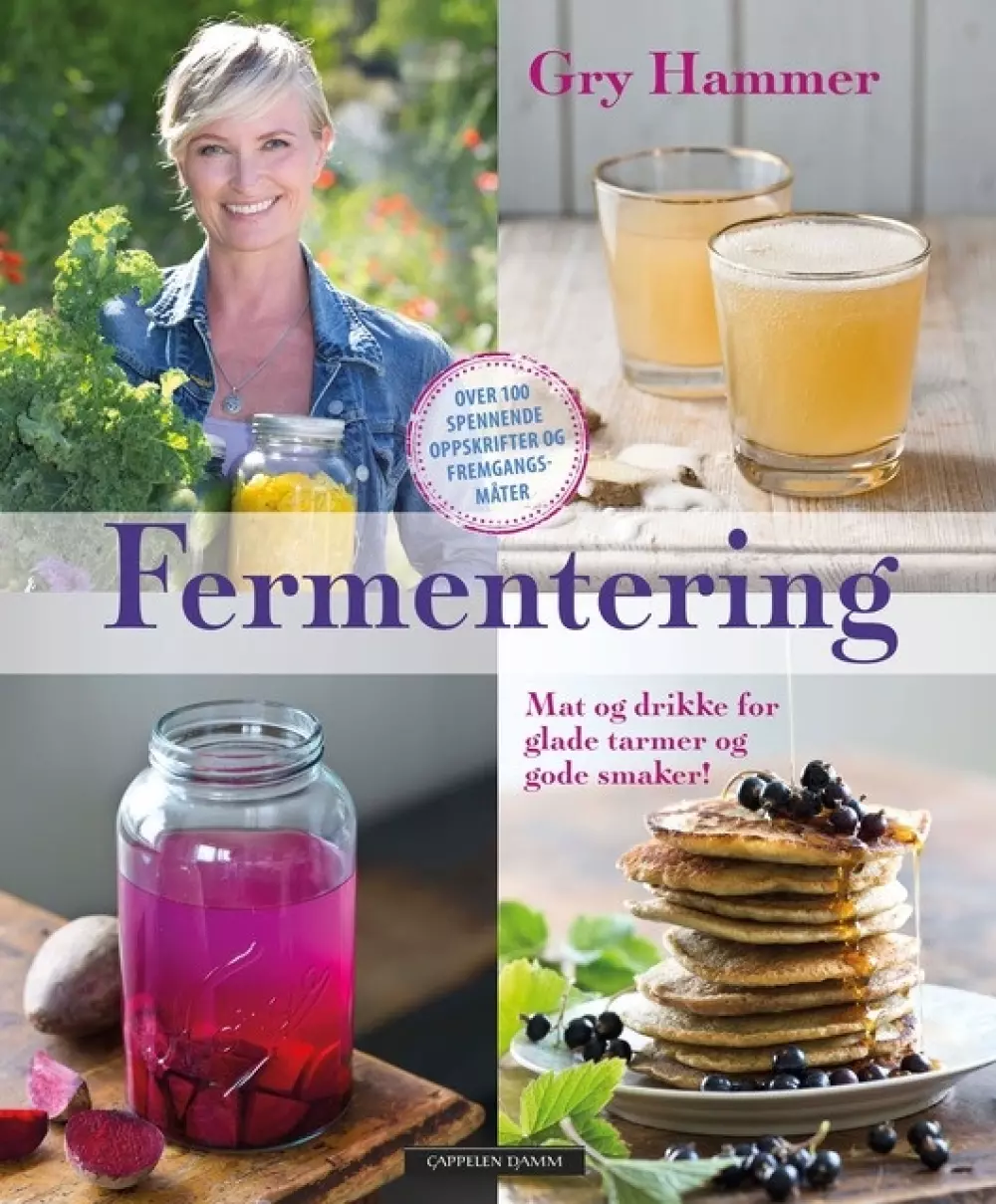 Fermentering - mat og drikke for glade tarmer og gode smaker!, Bøker, Healing, meditasjon & helse