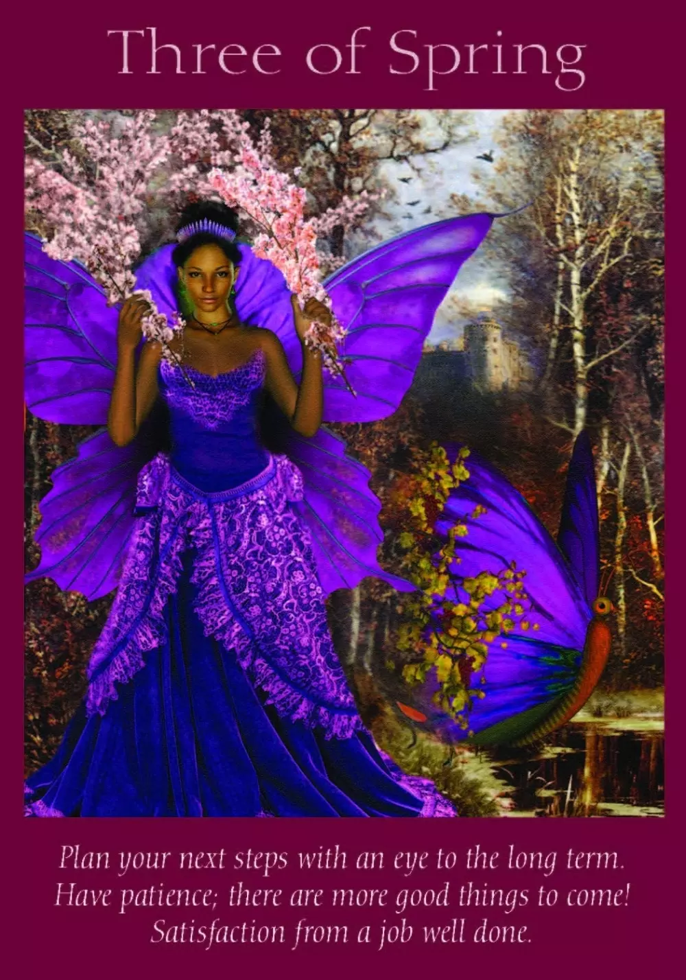 Fairy Tarot Cards A 78-Card Deck and Guidebook 9781401957209 Tarot & orakel Tarotkort
