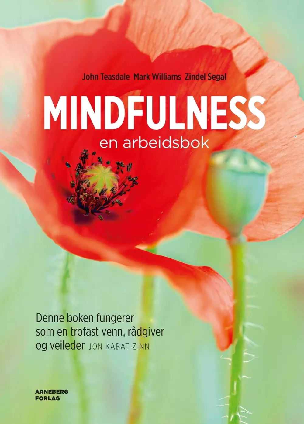 Mindfulness - en arbeidsbok, Bøker, Healing, meditasjon & helse