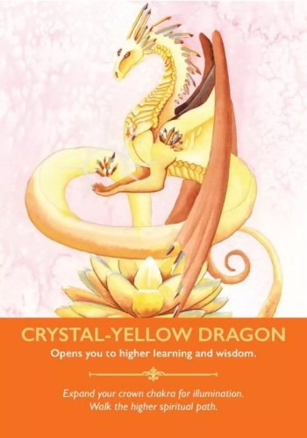 The Dragon Oracle Cards 9781781809068 Tarot & orakel Orakelkort
