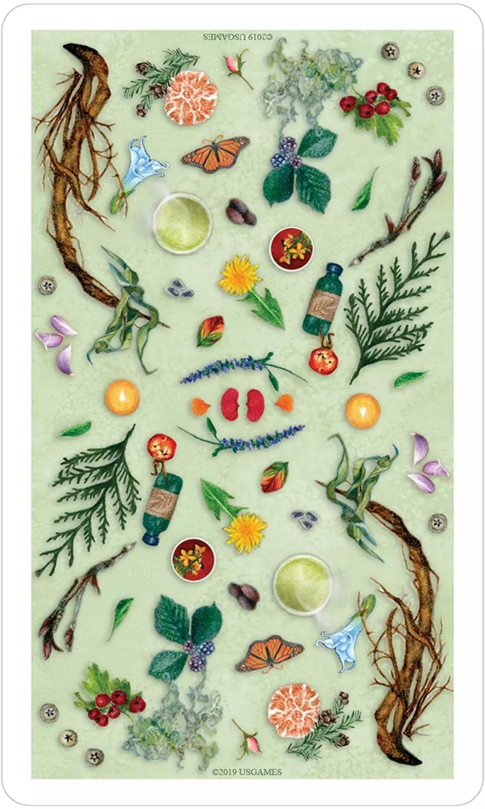 The Herbcrafter's Tarot The herbcrafters tarot 9781572819726 Tarot & orakel Tarotkort