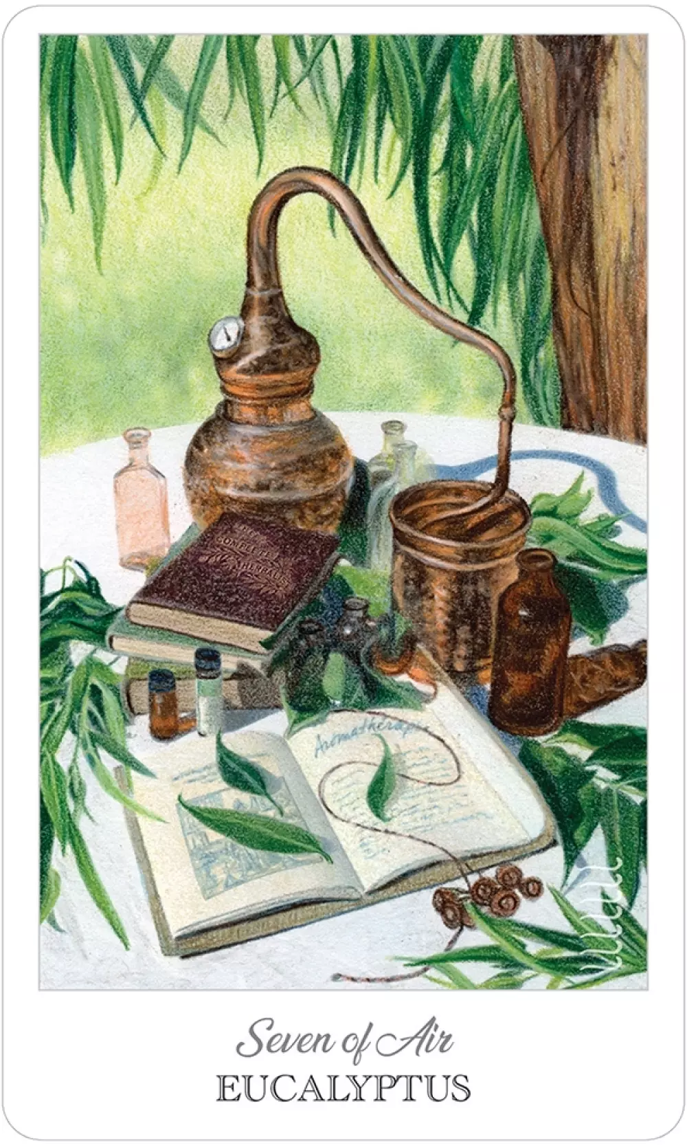 The Herbcrafter's Tarot The herbcrafters tarot 9781572819726 Tarot & orakel Tarotkort