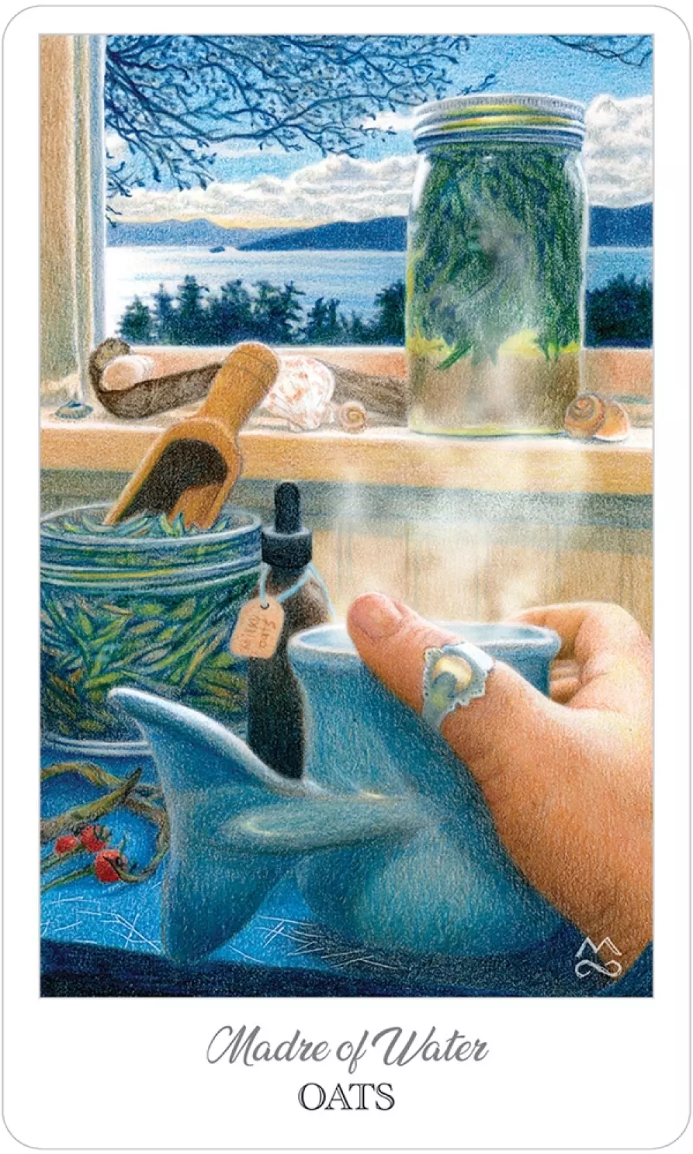 The Herbcrafter's Tarot The herbcrafters tarot 9781572819726 Tarot & orakel Tarotkort