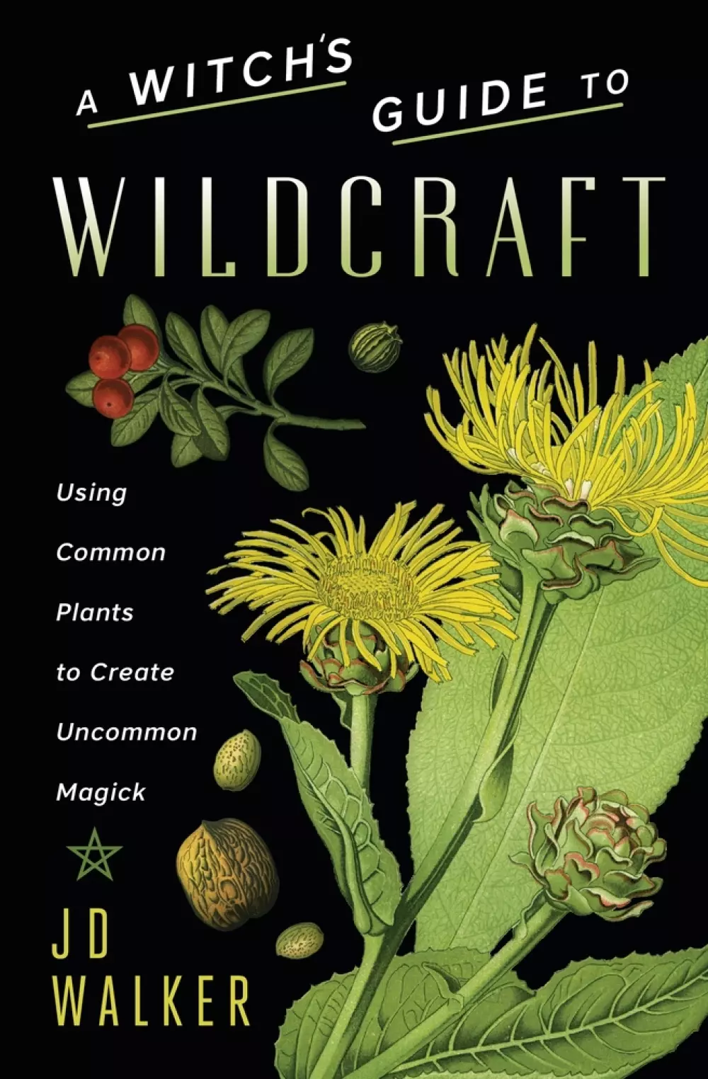 A Witch's Guide to Wildcraft, Bøker, Urkulturer,sjamanisme & mystikk, Using Common Plants to Create Uncommon Magick
