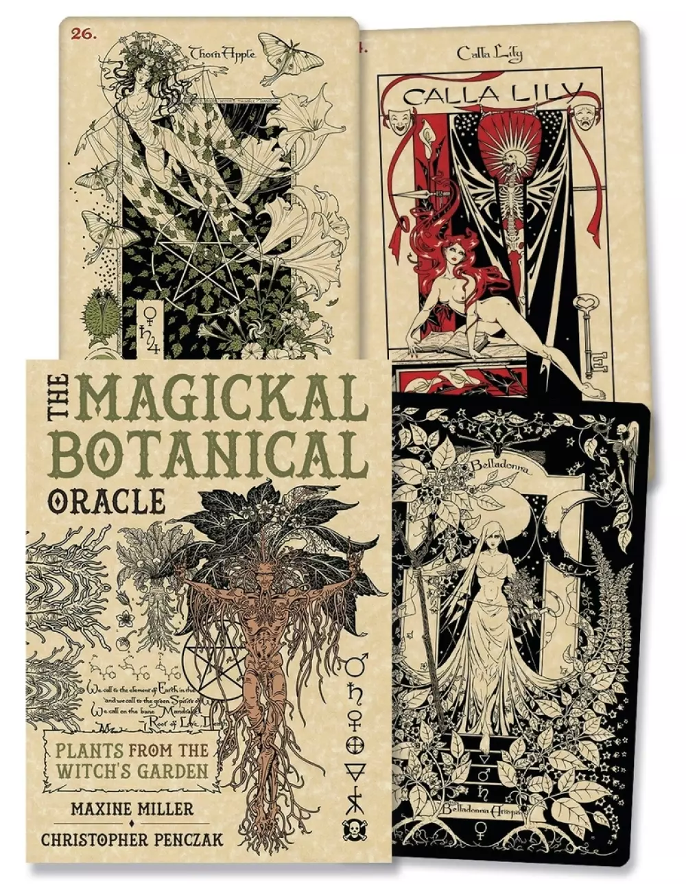 The Magickal Botanical Oracle, Tarot & orakel, Orakelkort, PLANTS FROM THE WITCH'S GARDEN