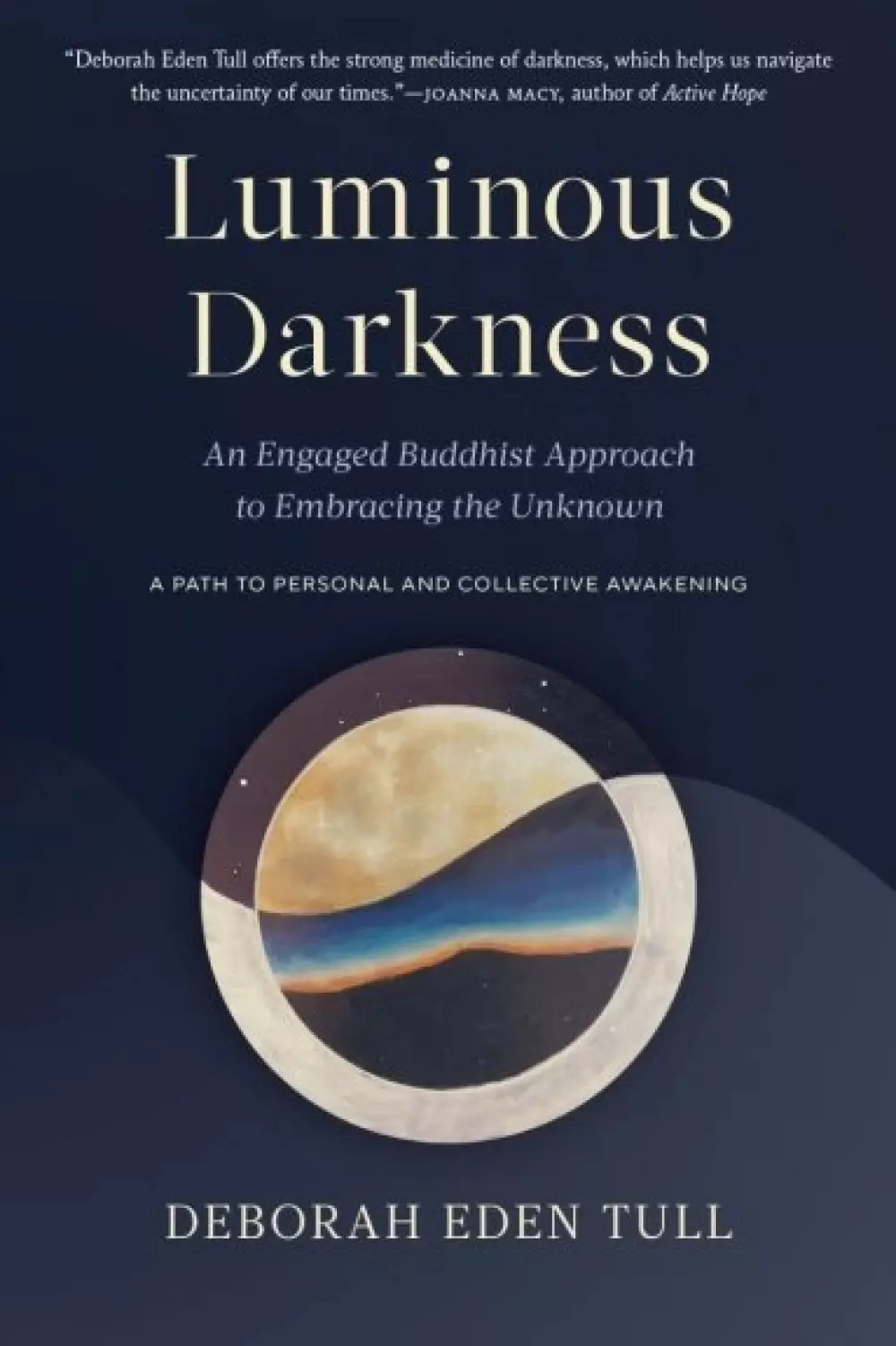 Luminous Darkness, Bøker, Filosofi & religion, An Engaged Buddhist Approach to Embracing the Unknown