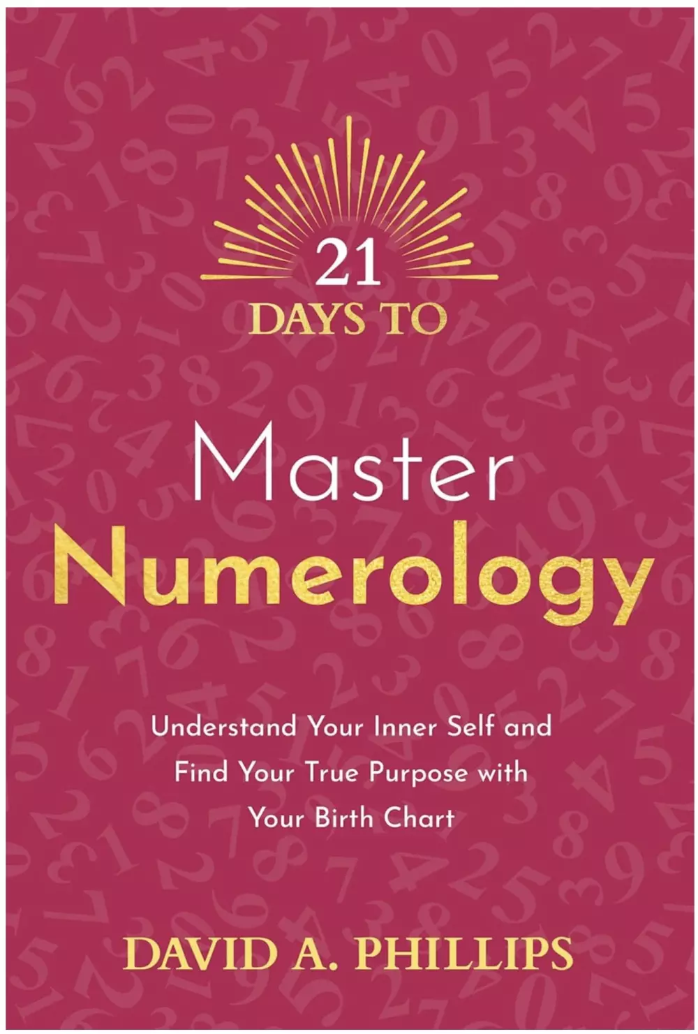 Vane, 21 dager, fødselsdiagram, overflod, hensikt, glede, numerologi, Ruling Number, Number Pyramid, navnekraft., 21 Days to Master Numerology, Bøker, Intuisjon & selvutvikling