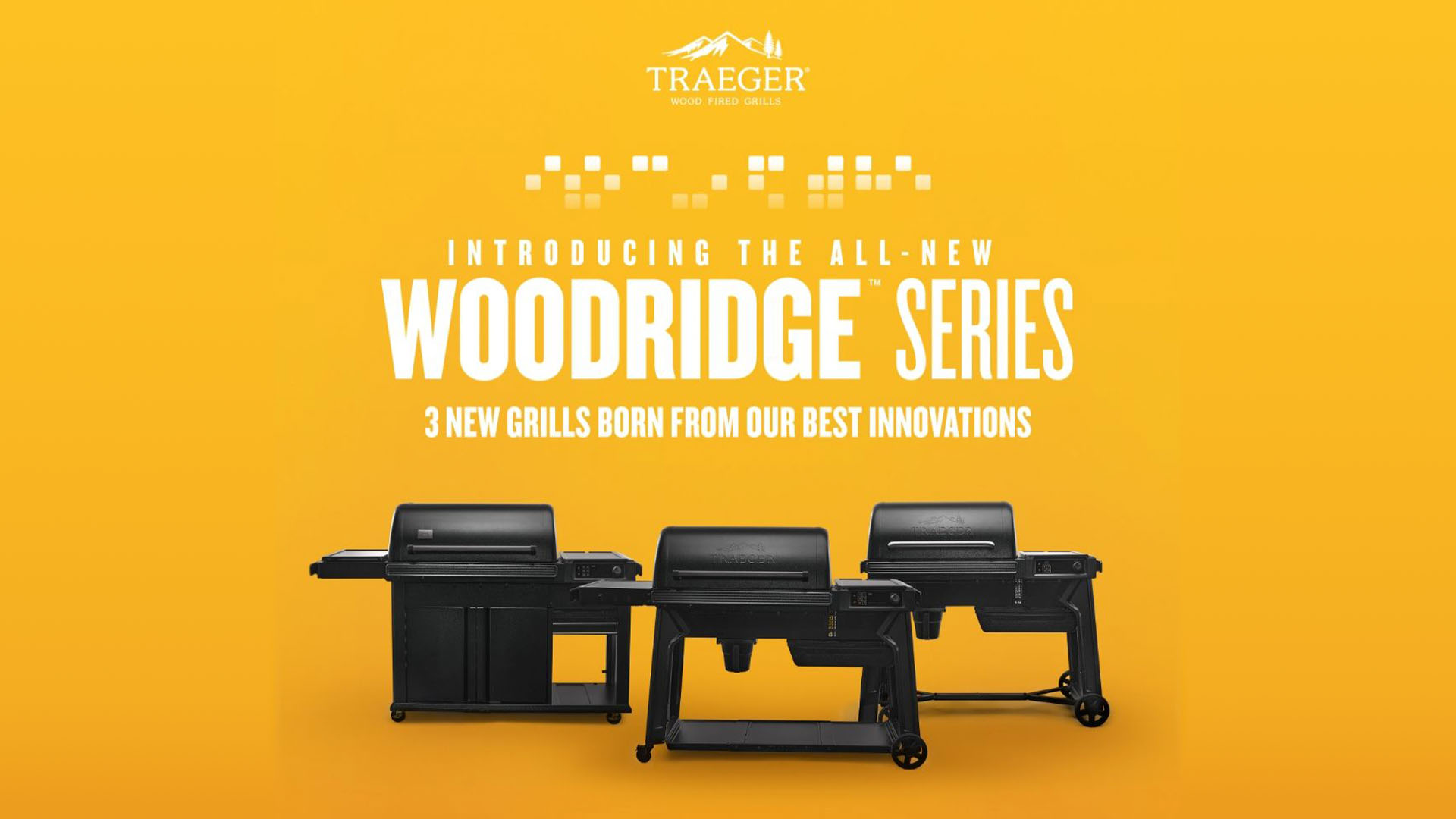 Woodridge Launch Party 