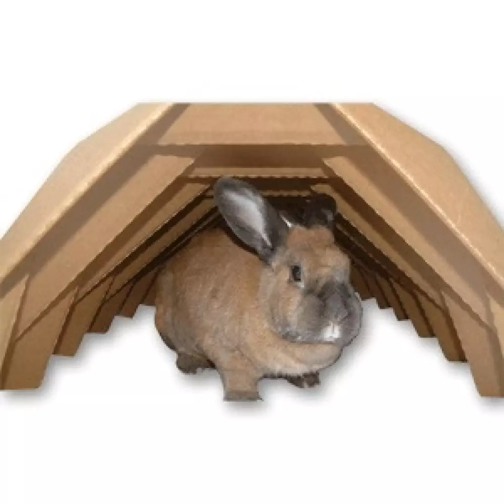 Tunnel Haven, Kaninutstyr, Kaninleker, Busy Bunny