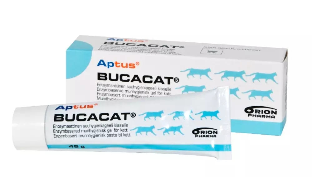 APTUS Bucacat tannpasta til katt 45g, 6432100006516, Katteutstyr, Kattepleie og hygieneprodukter, Aptus, Kruuse Norge AS, APTUS Bucacat pasta 45 g