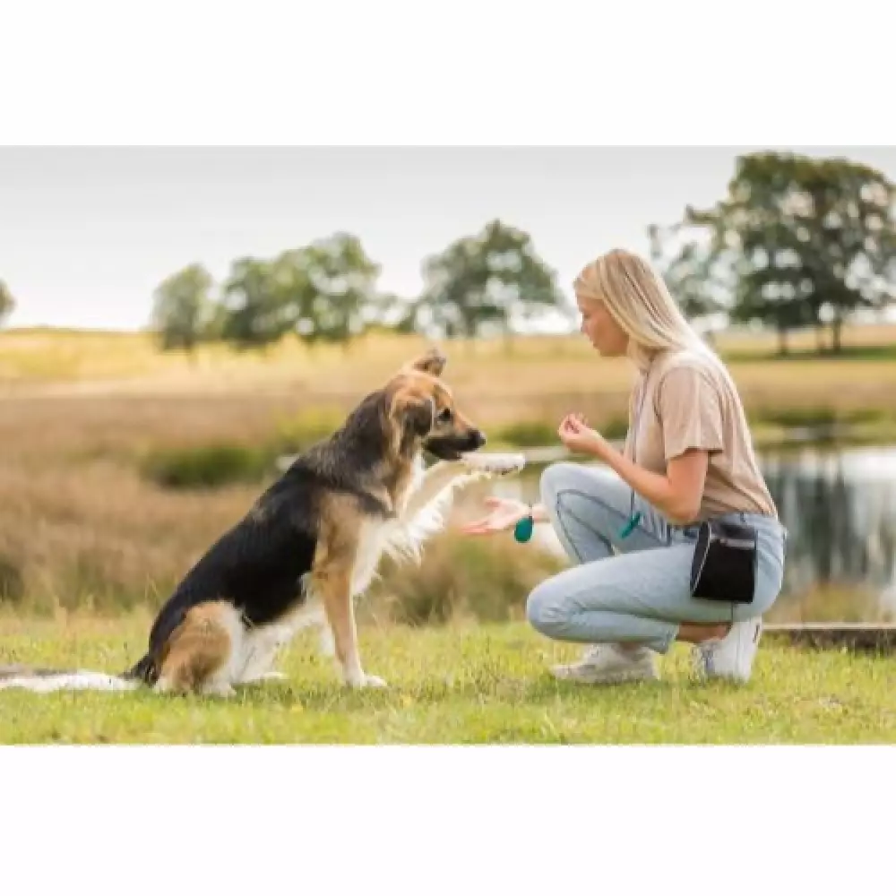 Godbittaske, godbitpose til hund, taske til hundetrening, en god godbitveske til hundetrening med plass til hundeposer også 