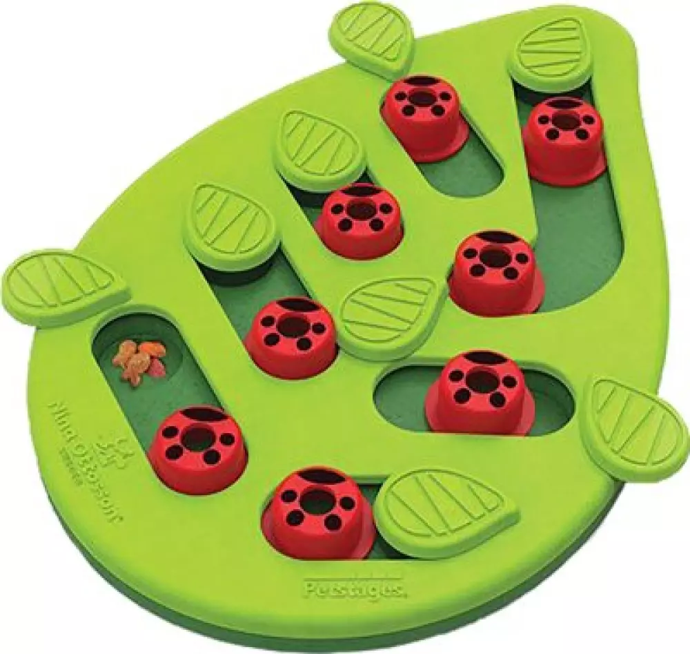 CAT PUZZLE & PLAY BUGGIN OUT, 700603694797, Katteutstyr, Katteleker, Imazo AB, PETSTAGES CAT PUZZLE & PLAY BUGGIN OUT