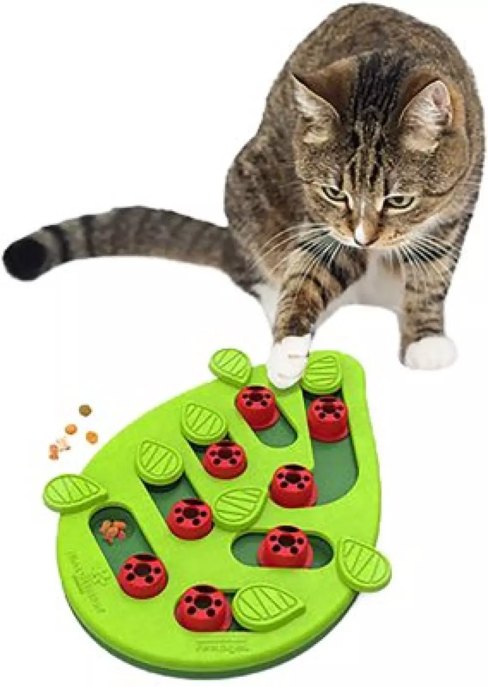 CAT PUZZLE & PLAY BUGGIN OUT, 700603694797, Katteutstyr, Katteleker, Imazo AB, PETSTAGES CAT PUZZLE & PLAY BUGGIN OUT
