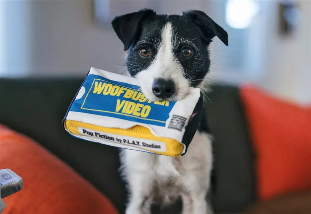 Hundeleke Video Woofbuster, Hundeutstyr, Hundeleker