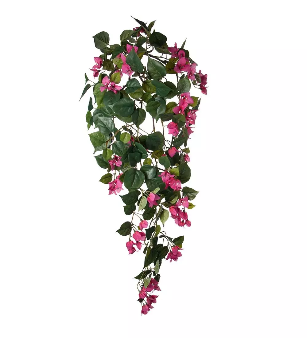 Bougainvillea Rosa L115, 7330026148961, 1173-25, Interiør, Blomster og Planter, Mr Plant, Bougainvillea