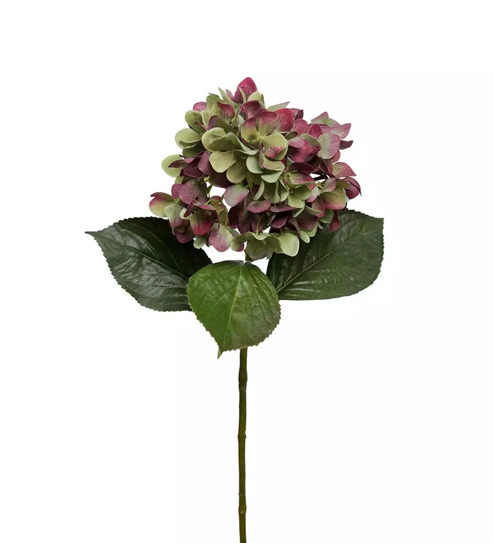 Hortensia H65 Rosa, 7330026131383, 1311-86, Interiør, Blomster og Planter, Mr Plant