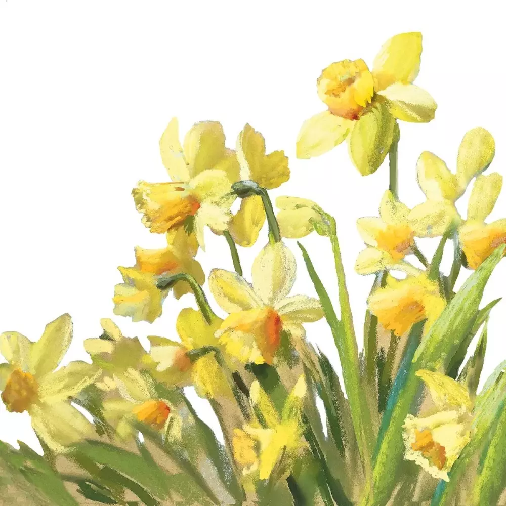 Serviett Golden Daffodils, 8712159175530, 13316195, Interiør, Servietter, Ambiente, Consilimo