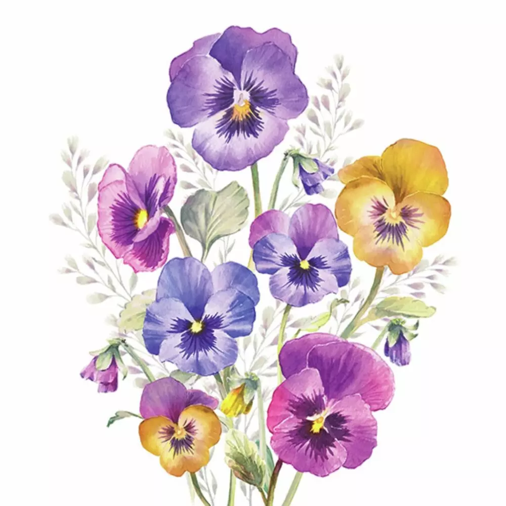 Serviett Pansies, 8712159192544, 13318165, Interiør, Servietter, Ambiente, Consilimo, Napkin Lunsj Pansies