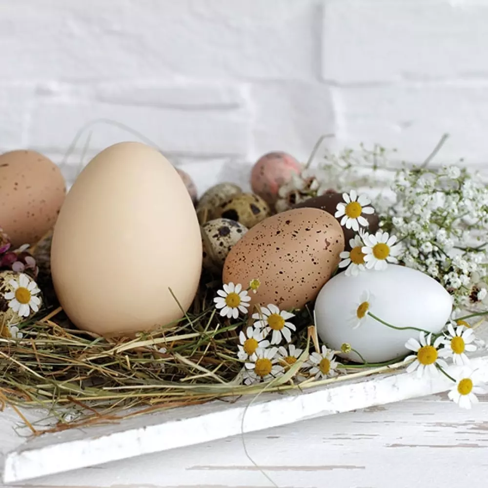 Serviett Pastel Eggs, 8712159164015, 23314290, Sesong, Påske, Ambiente, Edelweiss