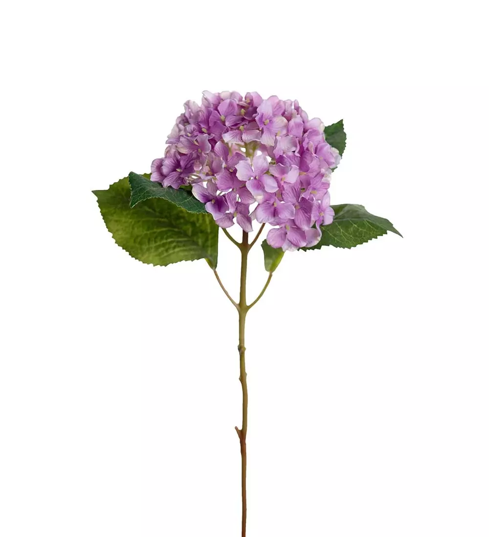 Hortensia Kvist Lilla H40, 7330026086072, 2408-40, Interiør, Blomster og Planter, Mr Plant