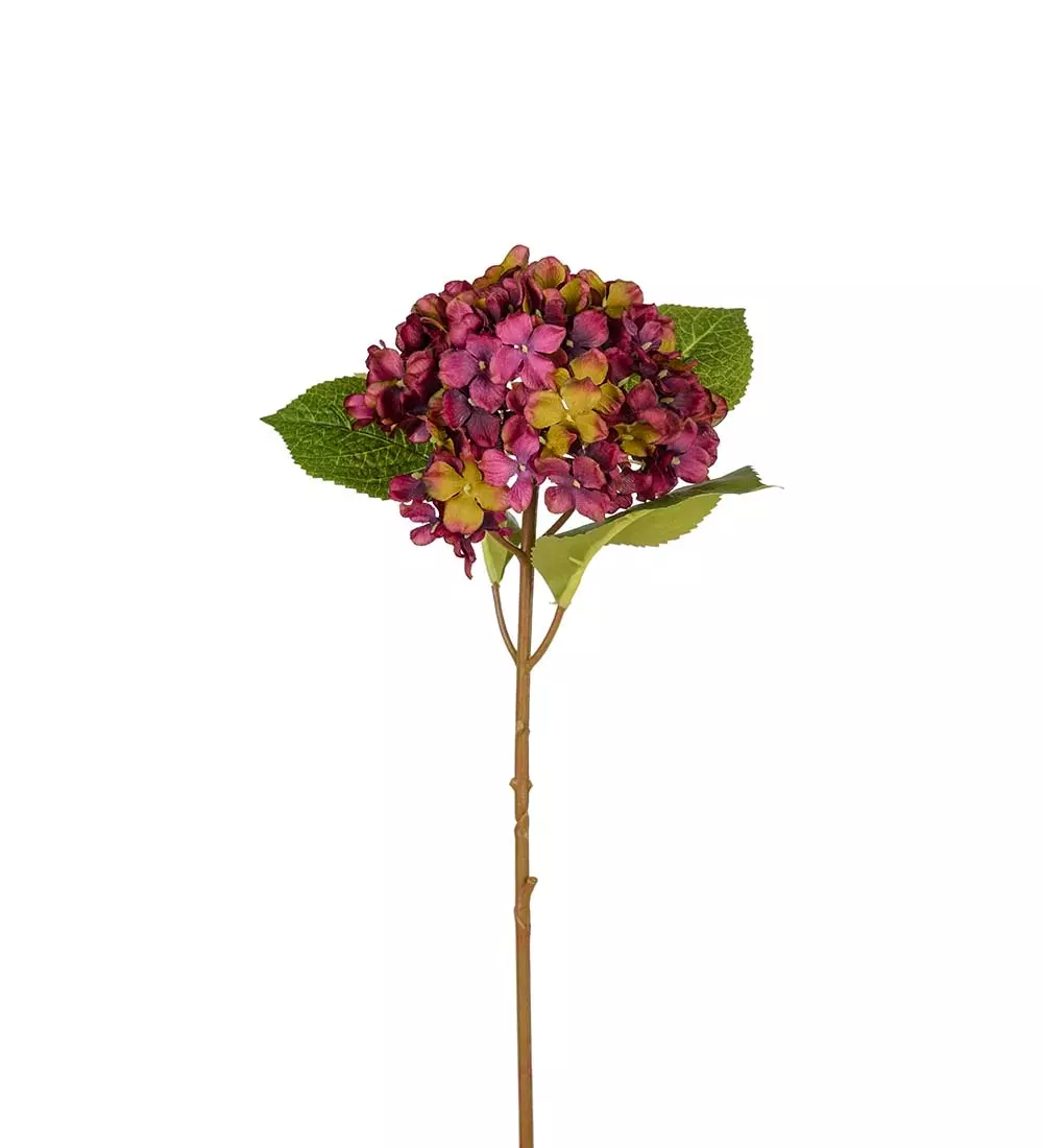 Hortensia Lilla H40, 7330026173369, 2408-45, Interiør, Blomster og Planter, Mr Plant, Hortensia