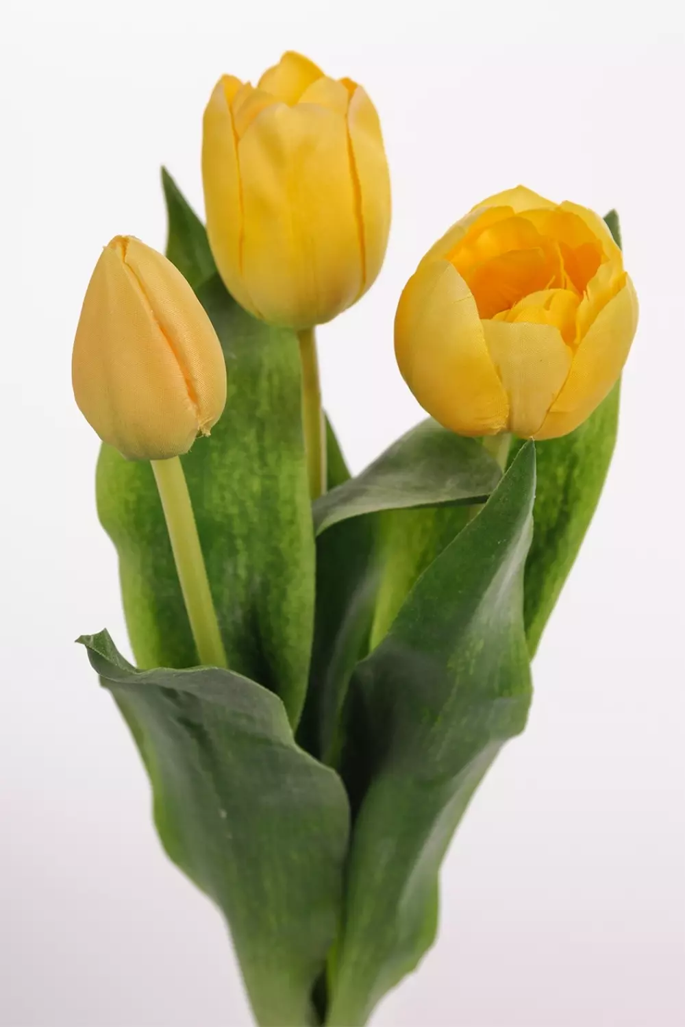 Tulipan Gul H36cm Ass, 7330026089332, 2620-50, Sesong, Påske, Mr Plant, Tulpan mix