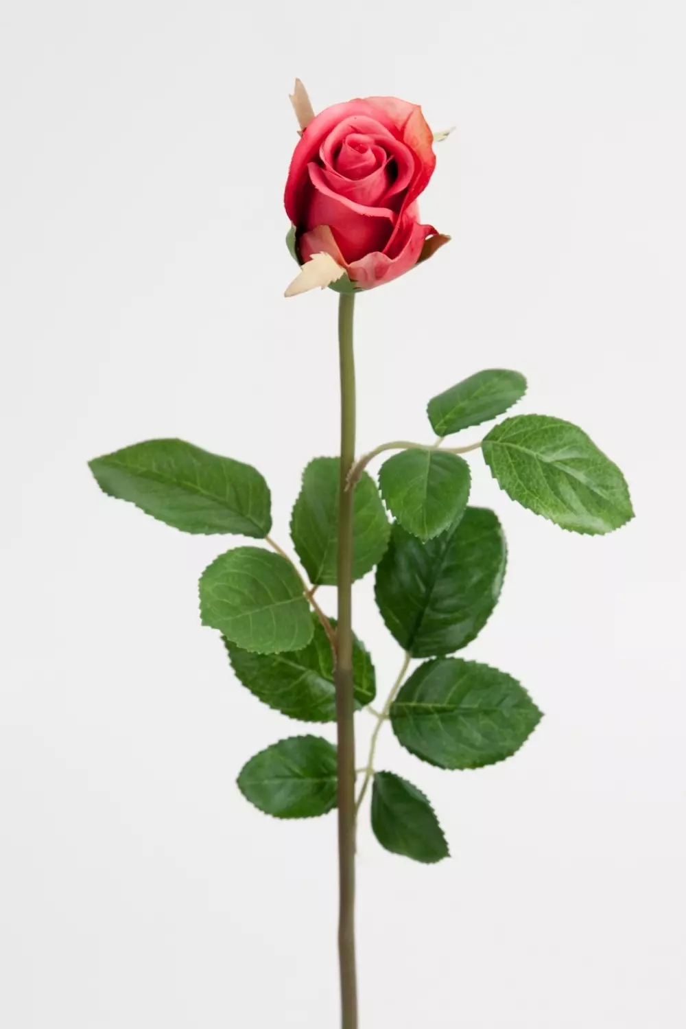 Rose Mørk Rosa H50, 7330026103458, 2889-23, Interiør, Blomster og Planter, Mr Plant, Ros