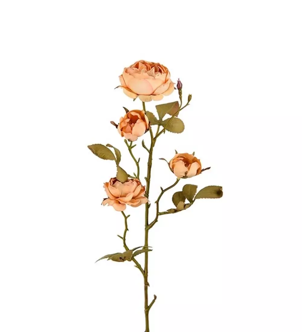Rose H60 oransj, 7330026170078, 3207-71, Interiør, Blomster og Planter, Mr Plant, Ros