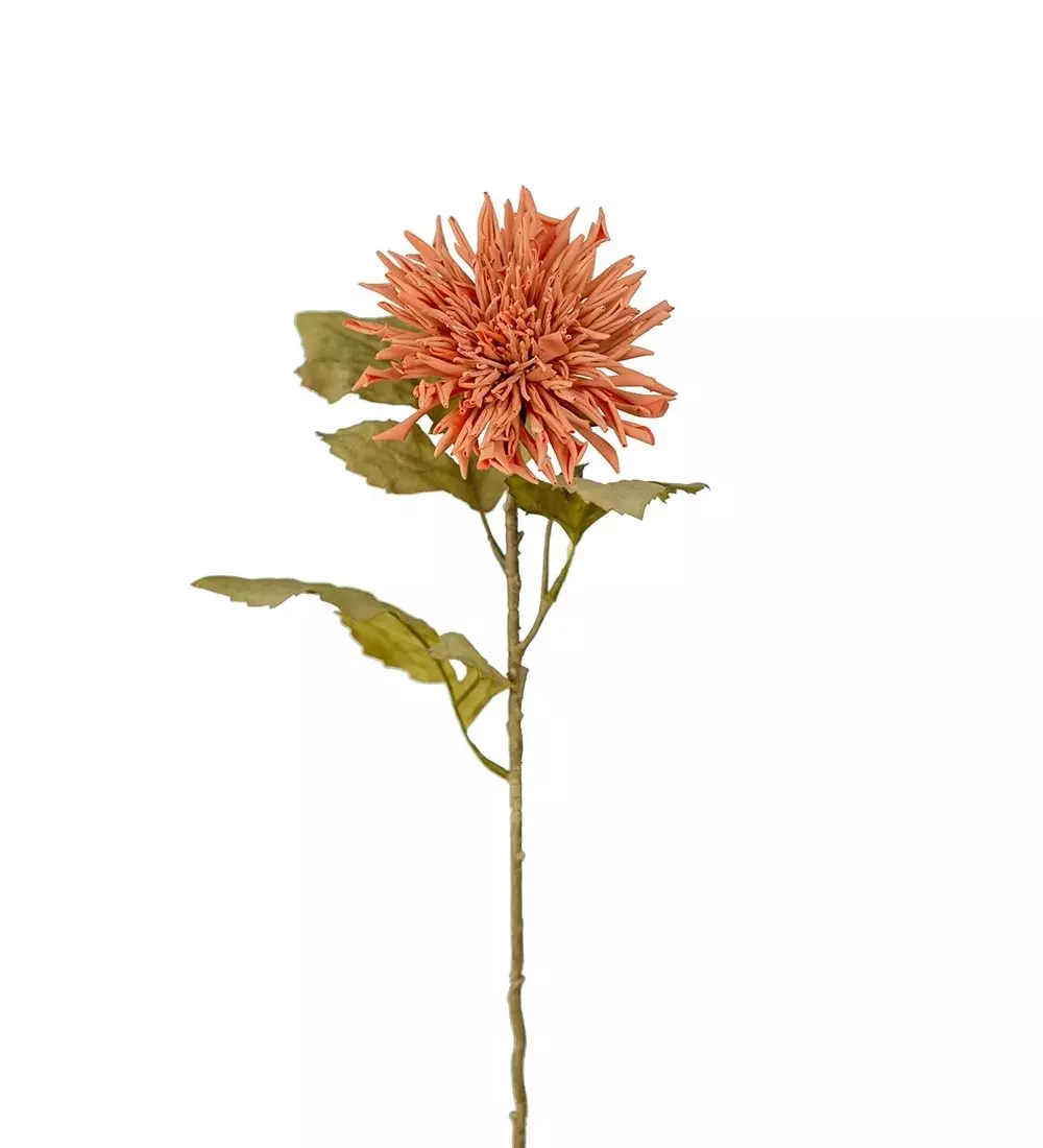 Chrysanthemum Rosa H60, 7330026175523, 3618-22, Interiør, Blomster og Planter, Mr Plant, Chrysanthemum