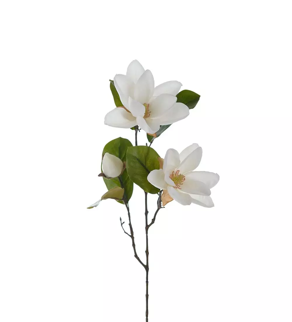 Magnolia Hvit H70cm, 7330026173741, 3668-10, Interiør, Blomster og Planter, Mr Plant, Magnolia