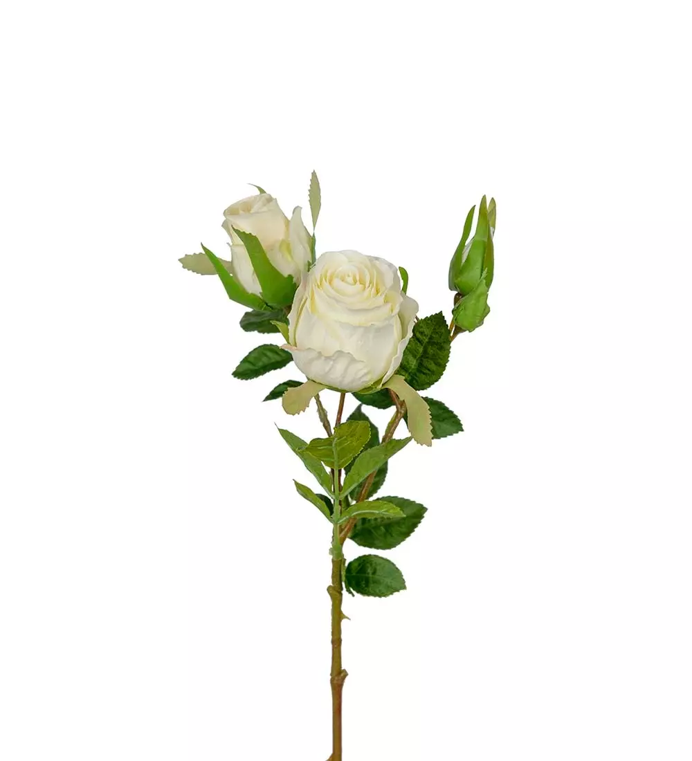 Rose Hvit H40, 7330026174106, 3679-10, Interiør, Blomster og Planter, Mr Plant, Ros