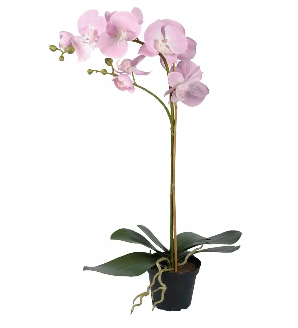 Orkide- Rosa 60 CM, 7330026139495, 5754-20-1, Interiør, Blomster og Planter, Mr Plant