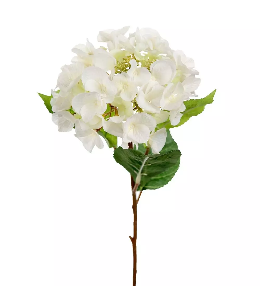 Hortensia Stilk Hvit, 7330026125108, 6158-10, Interiør, Blomster og Planter, Mr Plant