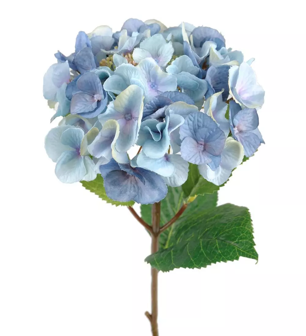 Hortensia Stilk Blå H45, 7330026125146, 6158-61, Interiør, Blomster og Planter, Mr Plant