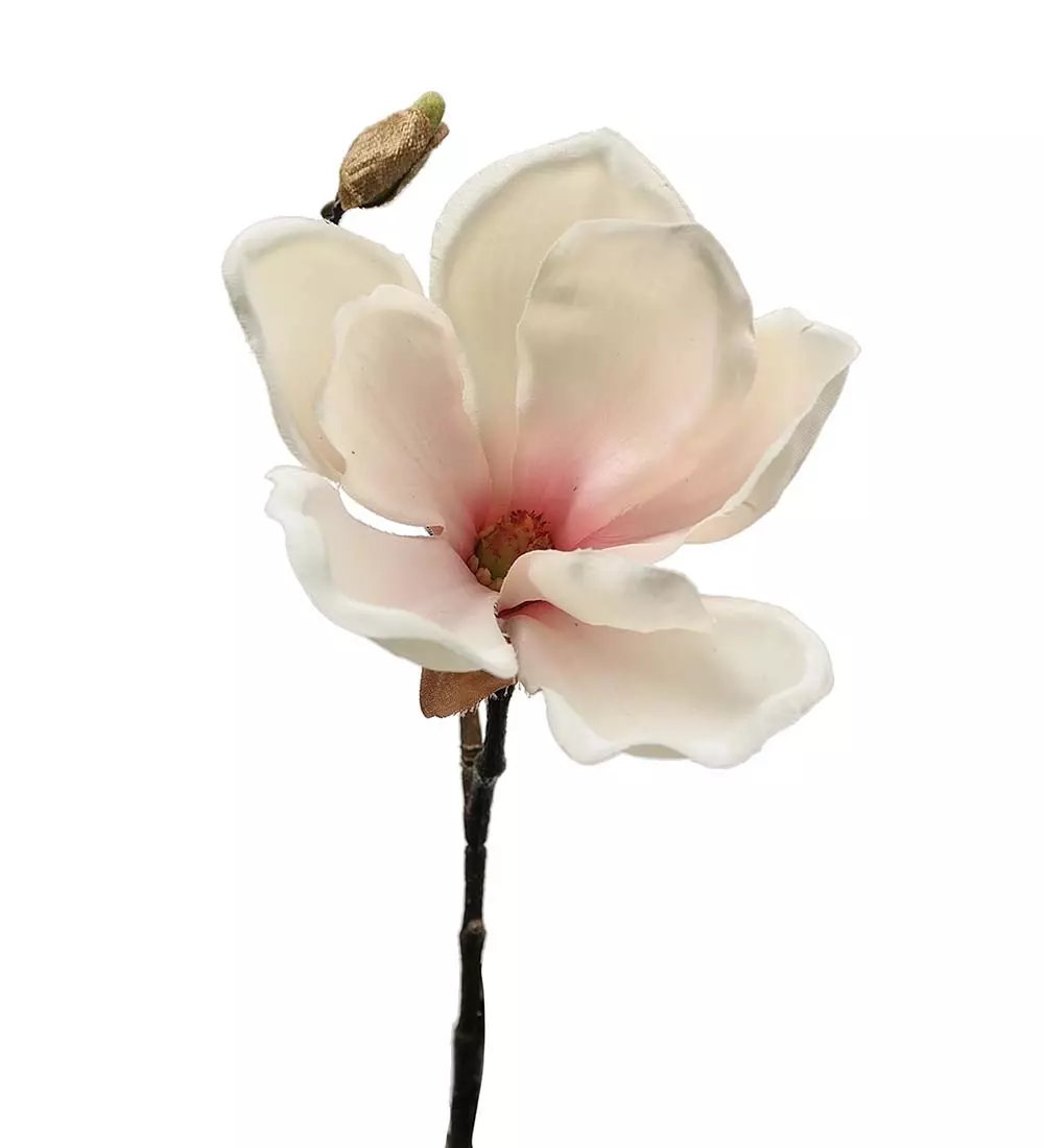 Magnolia 30 CM Rosa