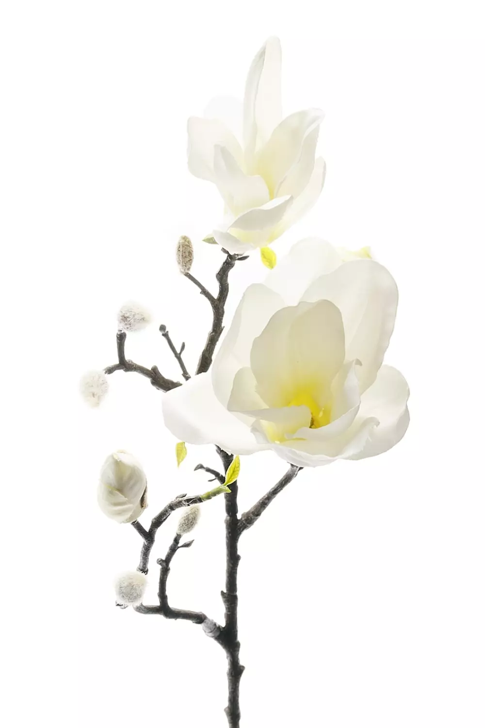 Magnolia H60 Hvit, 7330026126310, 6173-10, Interiør, Blomster og Planter, Mr Plant