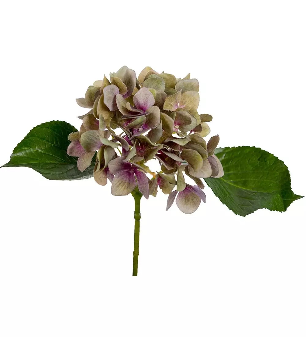 Hortensia 25CM Lilla, 7330026126594, 6186-40, Interiør, Blomster og Planter, Mr Plant