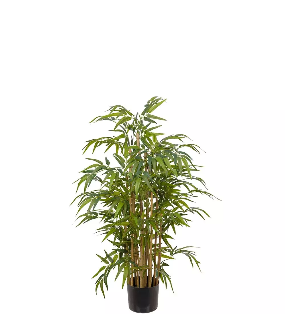 Bambus H120, 7330026090642, 7322-120, Interiør, Blomster og Planter, Mr Plant, Bambu