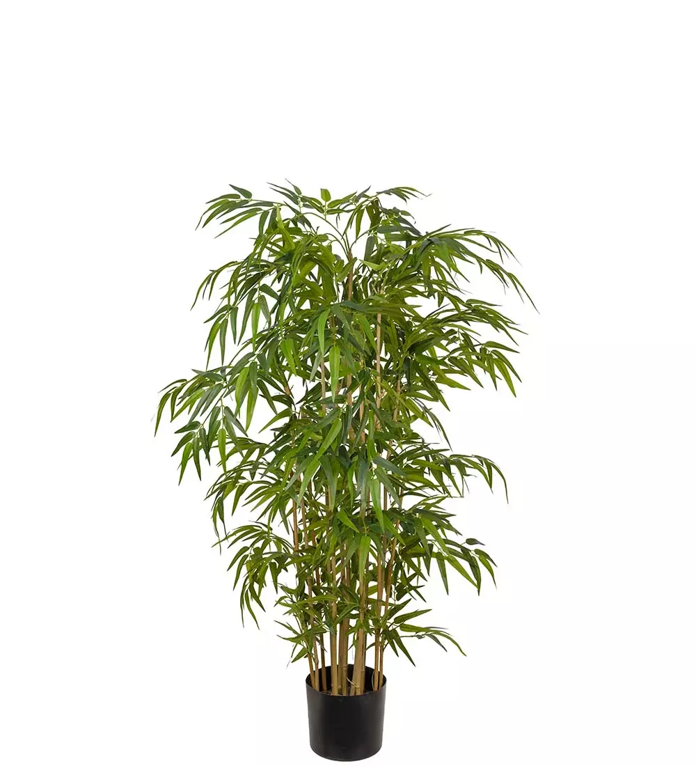 Bambus H150, 7330026056419, 7322-150, Interiør, Blomster og Planter, Mr Plant, Bambu
