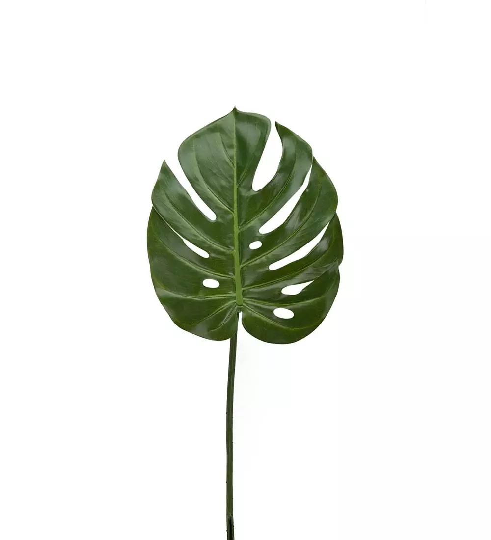 Monstera Blad H60, 7330026155105, 9260-01, Interiør, Blomster og Planter, Mr Plant, Monstera blad