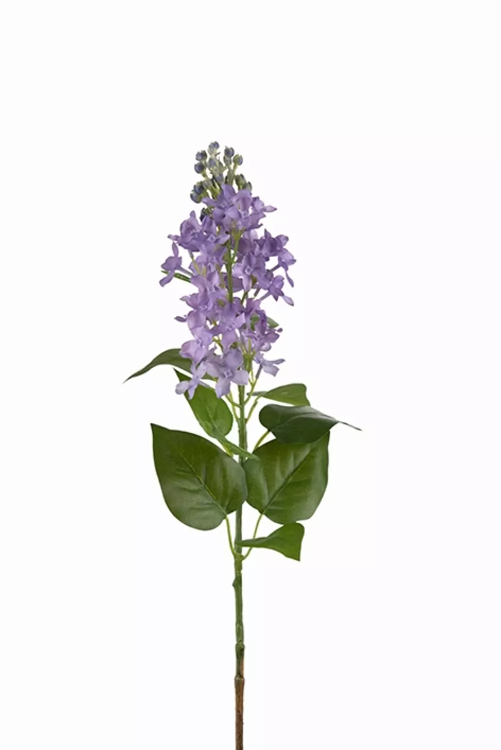 Syren H60cm, 7330026155730, 9294-60, Interiør, Blomster og Planter, Mr Plant