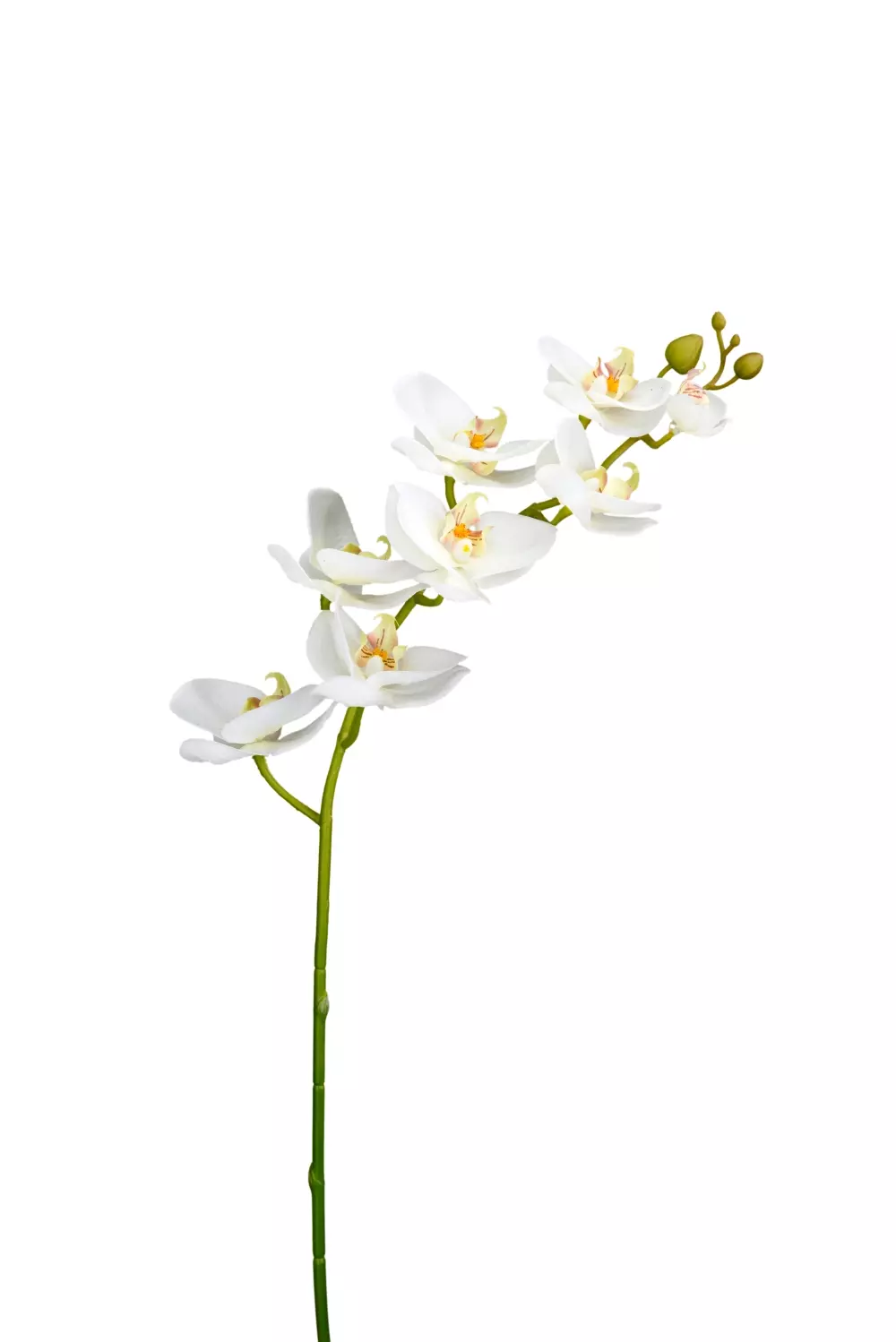 Orkidé-Gren Hvit 75CM, 7330026156218, 9317-10, Interiør, Blomster og Planter, Mr Plant