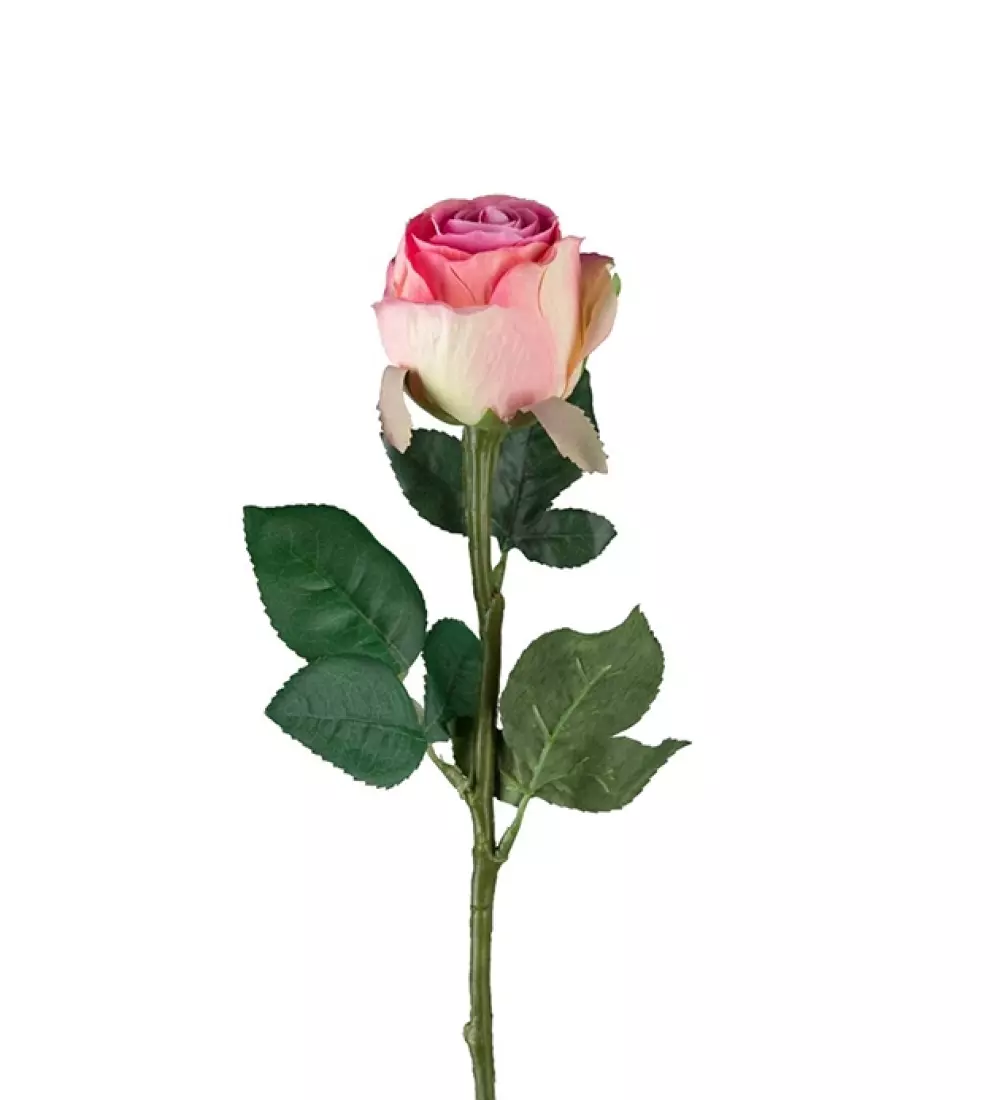 Rose Pink H50, 7330026161892, 9603-20, Interiør, Blomster og Planter, Mr Plant, Ros