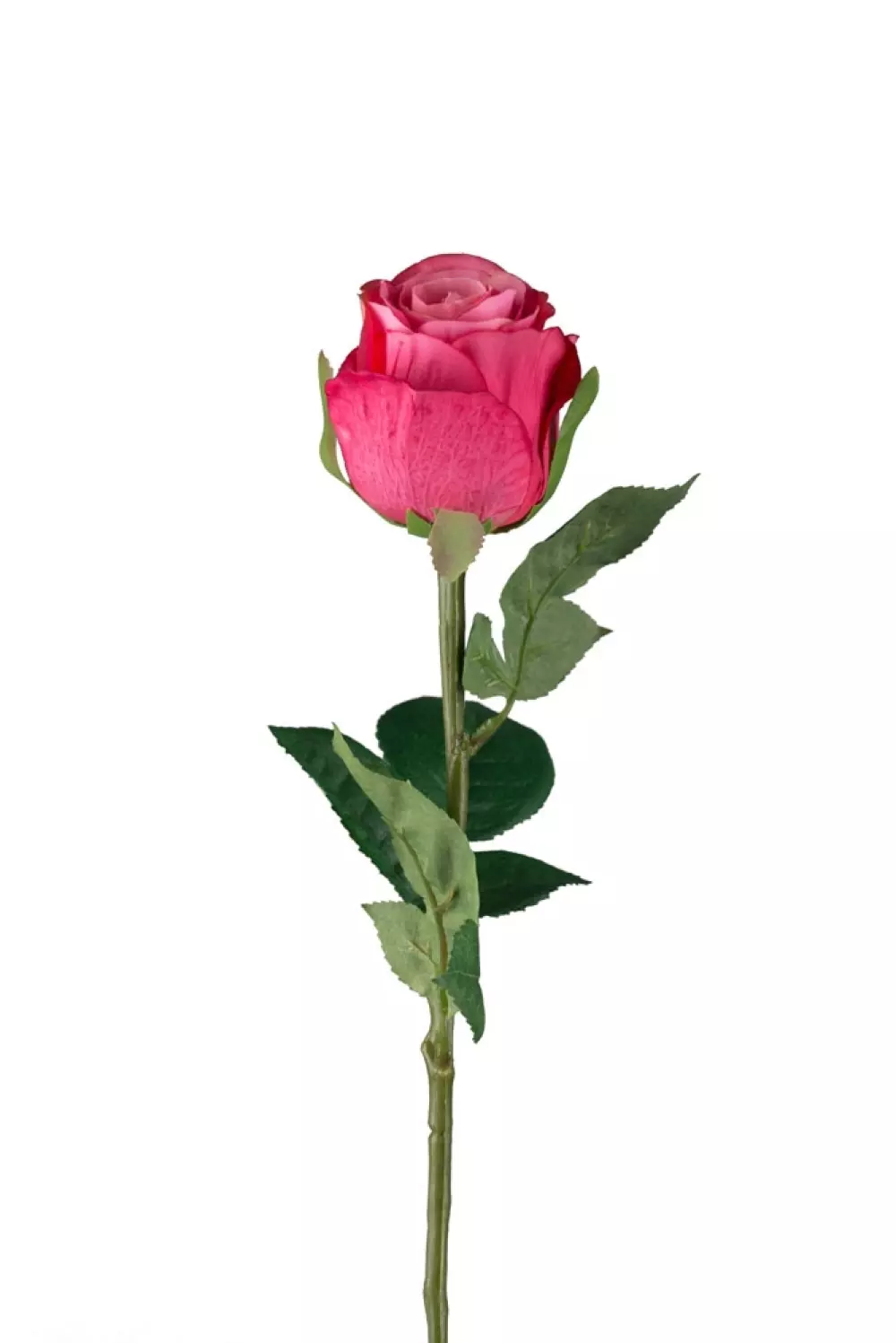 Rose Cerise H50 9603-25 7330026161915 Interiør Blomster og Planter Mr Plant
