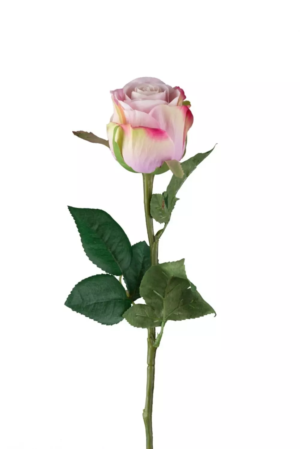 Rose Lys Rosa 50cm, 7330026161939, 9603-41, Interiør, Blomster og Planter, Mr Plant, Ros
